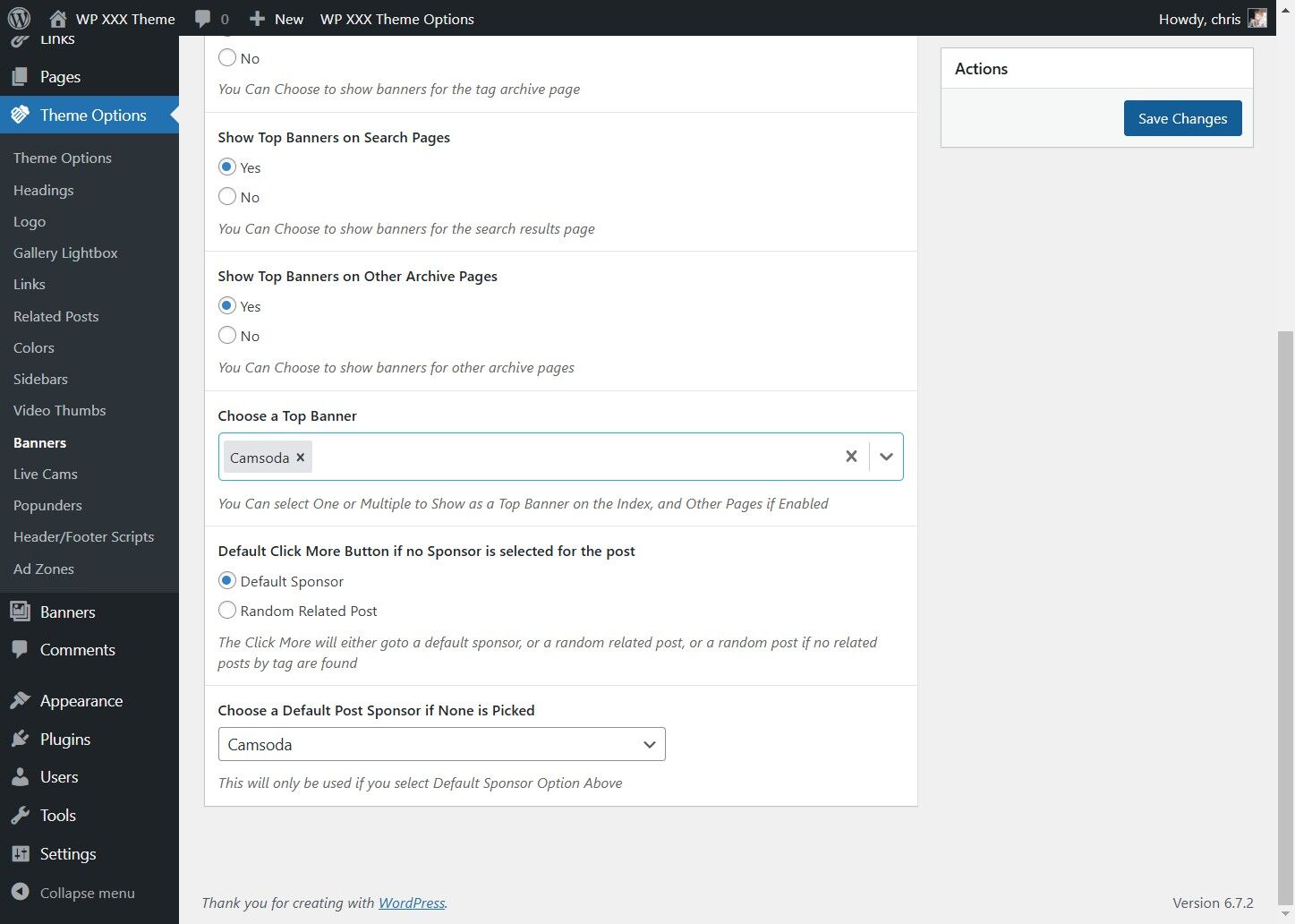 Click "Theme Options"